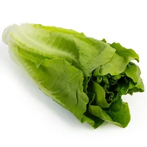 کاهو