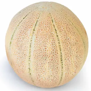 طالبی