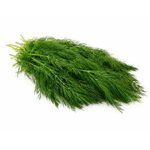 سبزی شوید