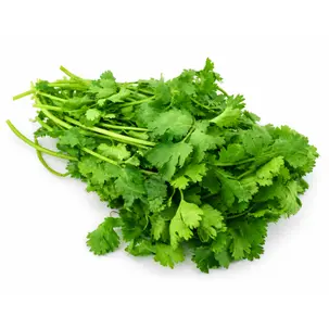 سبزی گشنیز